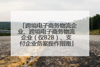 跨境电子商务物流企业、跨境电子商务物流企业（仅B2B）、支付企业备案操作指南