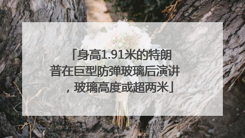 身高1.91米的特朗普在巨型防弹玻璃后演讲，玻璃高度或超两米
