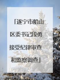 遂宁市船山区委书记段勇接受纪律审查和监察调查