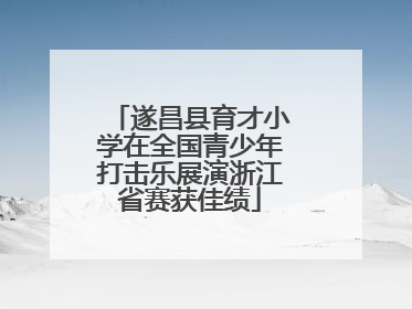 遂昌县育才小学在全国青少年打击乐展演浙江省赛获佳绩