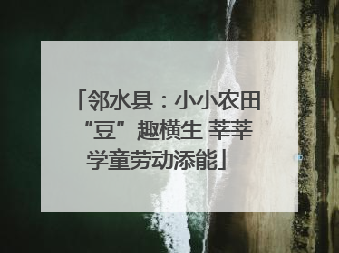 邻水县：小小农田“豆”趣横生 莘莘学童劳动添能