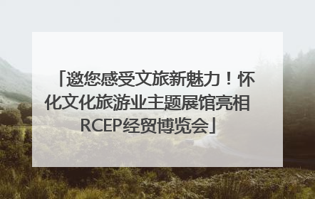 邀您感受文旅新魅力！怀化文化旅游业主题展馆亮相RCEP经贸博览会