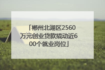 郴州北湖区2560万元创业贷款撬动近600个就业岗位
