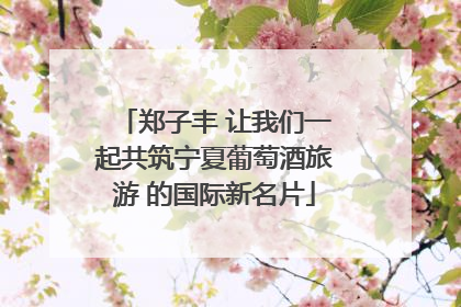 郑子丰 让我们一起共筑宁夏葡萄酒旅游 的国际新名片