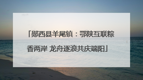 郧西县羊尾镇：鄂陕互联粽香两岸 龙舟逐浪共庆端阳