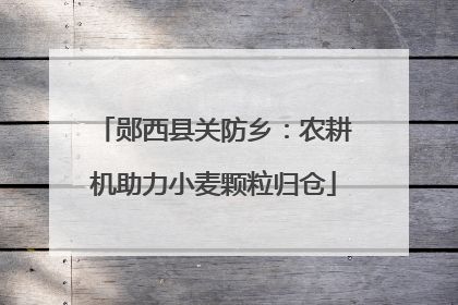郧西县关防乡：农耕机助力小麦颗粒归仓