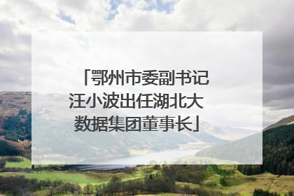 鄂州市委副书记汪小波出任湖北大数据集团董事长