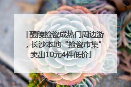 醴陵捡瓷成热门周边游，长沙本地“捡瓷市集”卖出10元4件低价