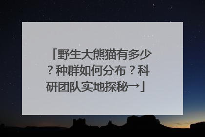 野生大熊猫有多少？种群如何分布？科研团队实地探秘→
