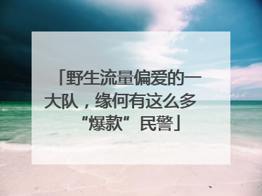 野生流量偏爱的一大队，缘何有这么多“爆款”民警