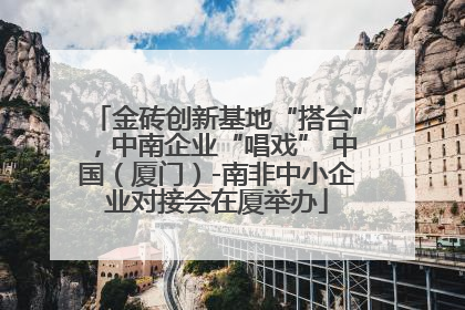 金砖创新基地“搭台”，中南企业“唱戏” 中国（厦门）-南非中小企业对接会在厦举办