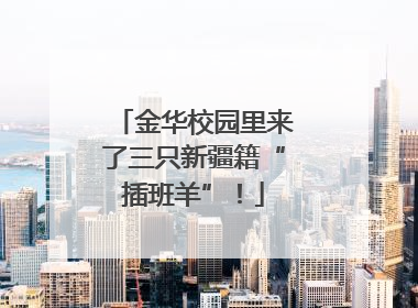 金华校园里来了三只新疆籍“插班羊”！