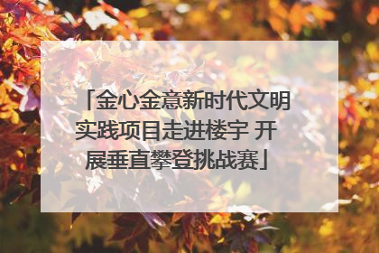 金心金意新时代文明实践项目走进楼宇 开展垂直攀登挑战赛