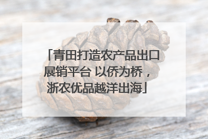 青田打造农产品出口展销平台 以侨为桥，浙农优品越洋出海