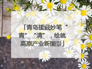 青岛援藏妙笔“青”“清”，绘就高原产业新图景