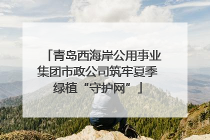 青岛西海岸公用事业集团市政公司筑牢夏季绿植“守护网”