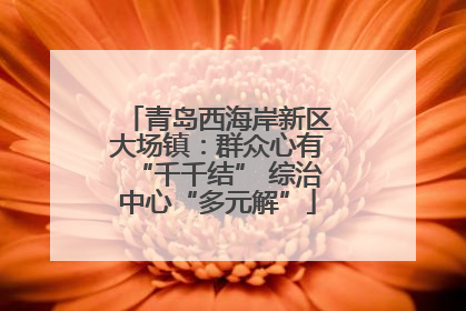 青岛西海岸新区大场镇：群众心有“千千结” 综治中心“多元解”