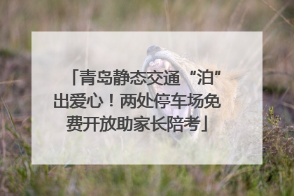 青岛静态交通“泊”出爱心！两处停车场免费开放助家长陪考