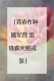 青春作种播军营 雷锋薪火照戎装