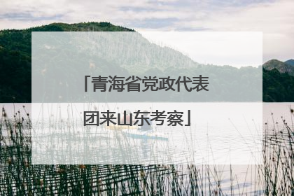青海省党政代表团来山东考察