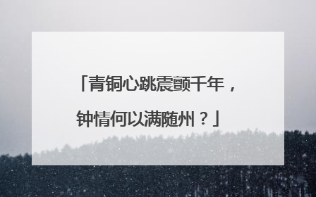 青铜心跳震颤千年，钟情何以满随州？