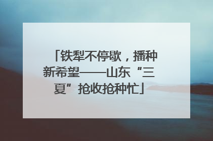 铁犁不停歇，播种新希望——山东“三夏”抢收抢种忙