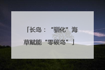 长岛：“驯化”海草赋能“零碳岛”