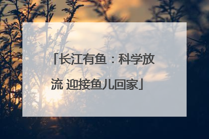 长江有鱼：科学放流 迎接鱼儿回家