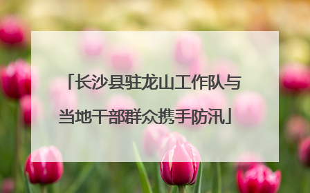 长沙县驻龙山工作队与当地干部群众携手防汛