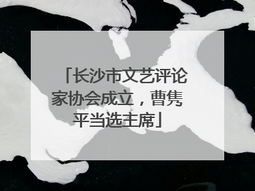 长沙市文艺评论家协会成立，曹隽平当选主席