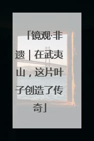 镜观·非遗｜在武夷山，这片叶子创造了传奇
