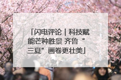 闪电评论｜科技赋能芒种胜景 齐鲁“三夏”画卷更壮美