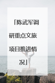 陈武军调研重点文旅项目推进情况
