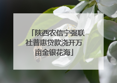 陕西农信宁强联社普惠贷款浇开万亩金银花海