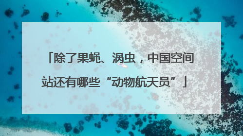 除了果蝇、涡虫，中国空间站还有哪些“动物航天员”