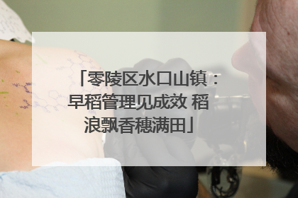 零陵区水口山镇：早稻管理见成效 稻浪飘香穗满田