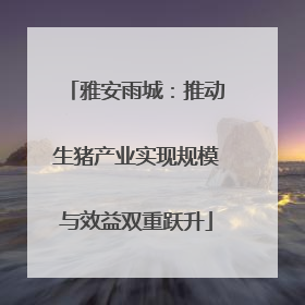 雅安雨城：推动生猪产业实现规模与效益双重跃升