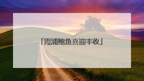 霞浦鲍鱼喜迎丰收