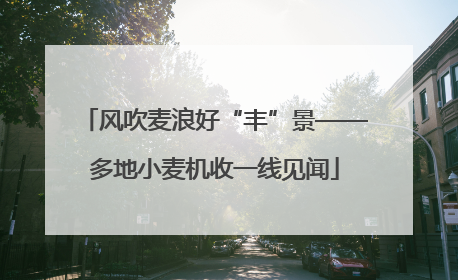 风吹麦浪好“丰”景——多地小麦机收一线见闻