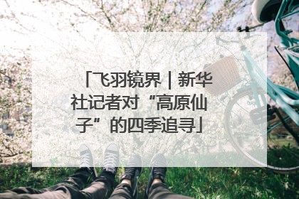 飞羽镜界｜新华社记者对“高原仙子”的四季追寻