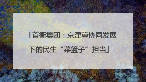 首衡集团：京津冀协同发展下的民生“菜篮子”担当