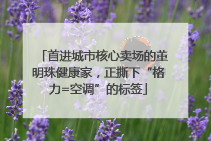 首进城市核心卖场的董明珠健康家，正撕下“格力=空调”的标签