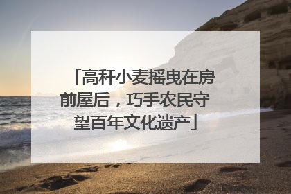 高秆小麦摇曳在房前屋后，巧手农民守望百年文化遗产