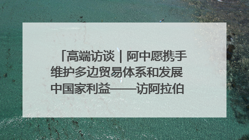 高端访谈｜阿中愿携手维护多边贸易体系和发展中国家利益——访阿拉伯议会议长亚马希