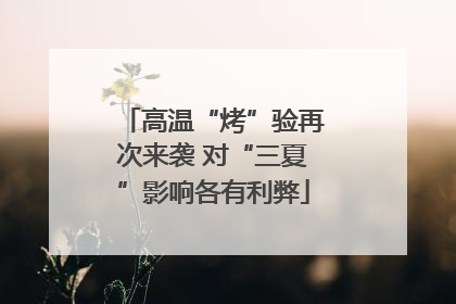 高温“烤”验再次来袭 对“三夏”影响各有利弊