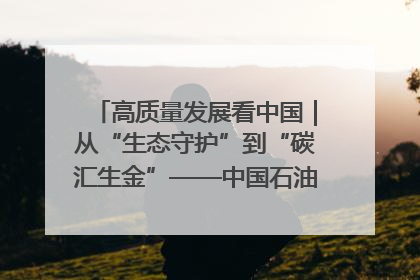 高质量发展看中国｜从“生态守护”到“碳汇生金”——中国石油大庆油田绿色蝶变
