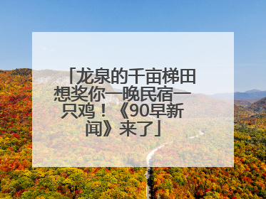 龙泉的千亩梯田想奖你一晚民宿一只鸡！《90早新闻》来了
