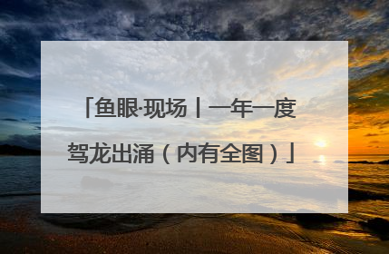 鱼眼·现场丨一年一度 驾龙出涌（内有全图）