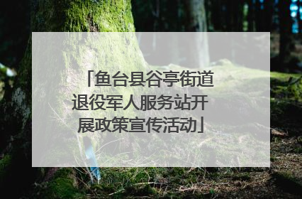 鱼台县谷亭街道退役军人服务站开展政策宣传活动