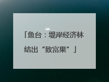 鱼台：堤岸经济林结出“致富果”